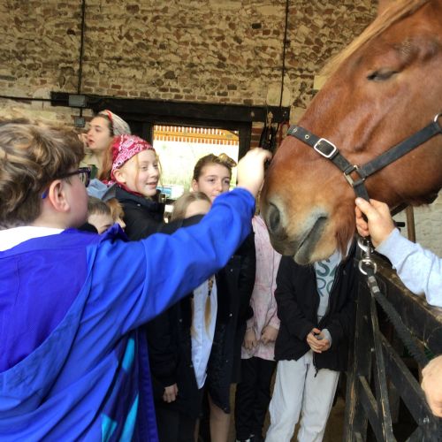 Year 6 trip to Gressenhall
