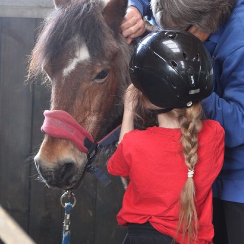 The Reef Class horse riding lessons